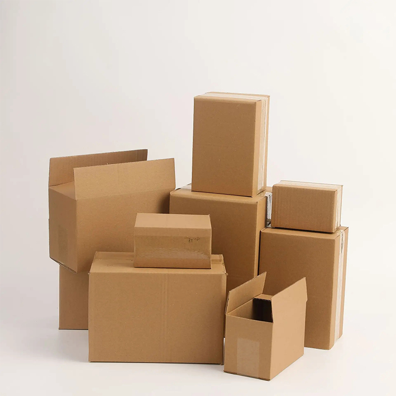 Customized Printing Corrugated Mailer Shipping Box Pet Food Subscription Box